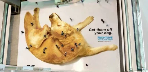 Marketing de Guerrilha: Casos de Sucesso e Como Aplicar na Sua Marca