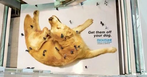 Marketing de Guerrilha: Casos de Sucesso e Como Aplicar na Sua Marca