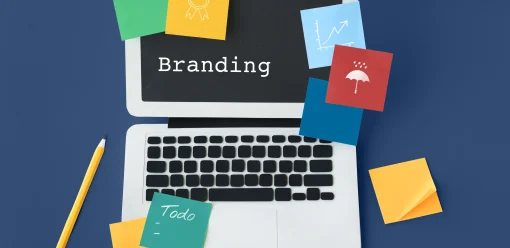 Como as Parcerias com Criadores Vão Além da Conscientização e Conversões para Impulsionar a Defesa